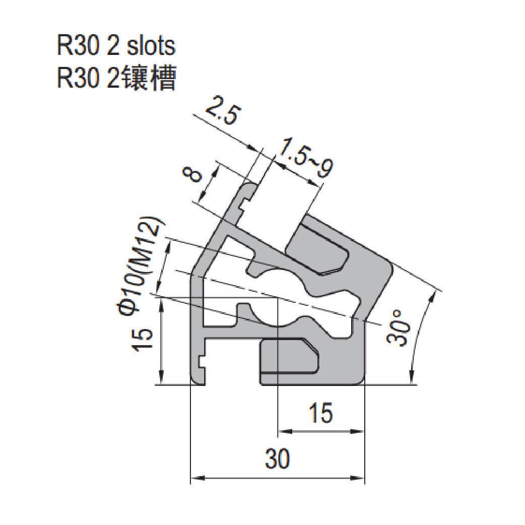 Clamping Profile PG30 R30 - 2 Clamping Slots