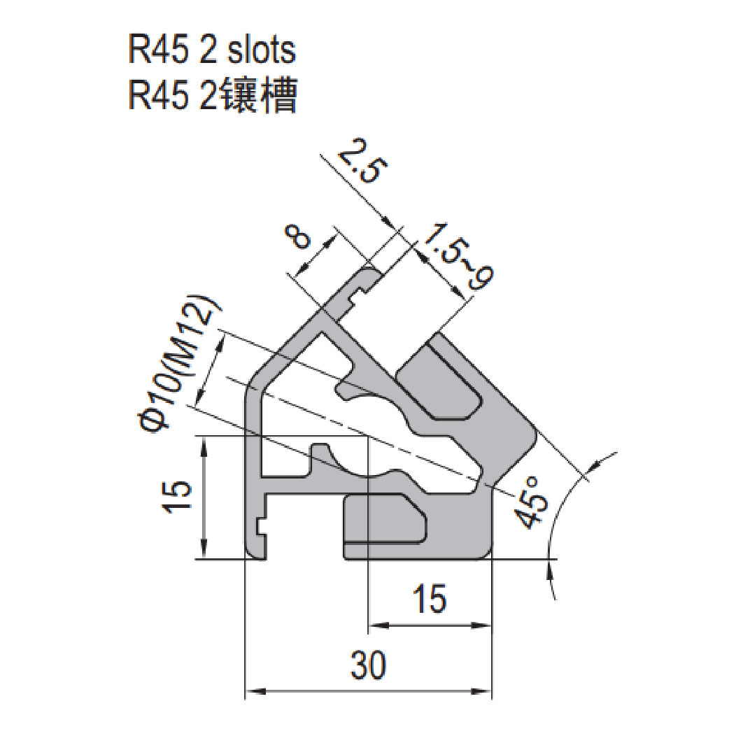 Clamping Profile PG30 R45 - 2 Clamping Slots