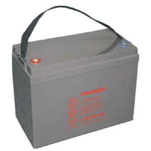 100AH Narada AGM Inverter Battery - DIY-Geek