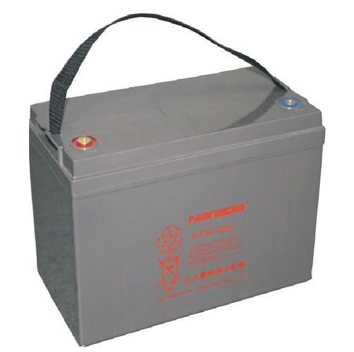 100AH Narada AGM Inverter Battery - DIY-Geek