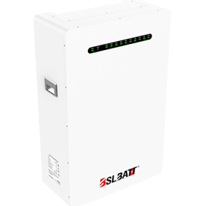 BSL Battery Neuro 16 Pro + IP65 51.2V 314Ah Wall Mount (16.1kWh)