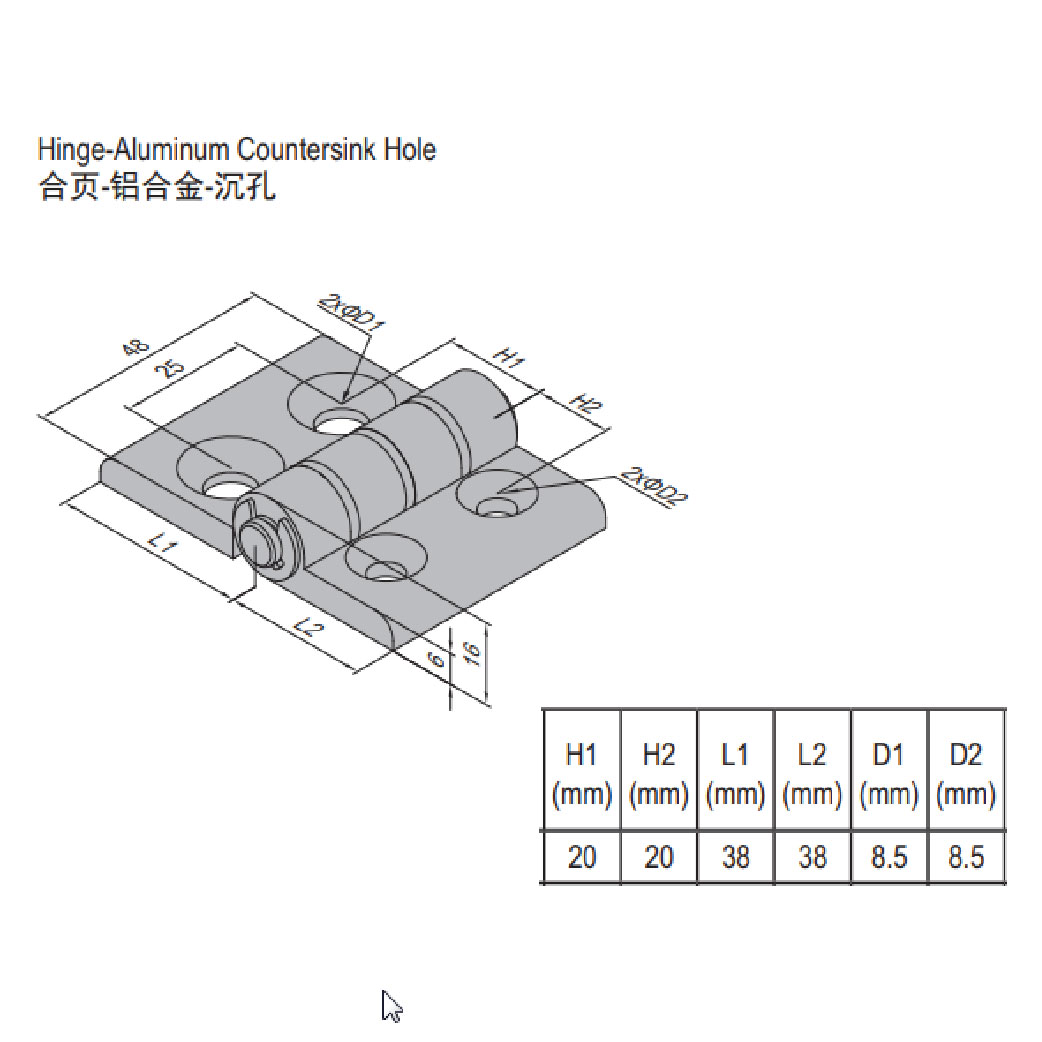 Hinge PG40/40 Set