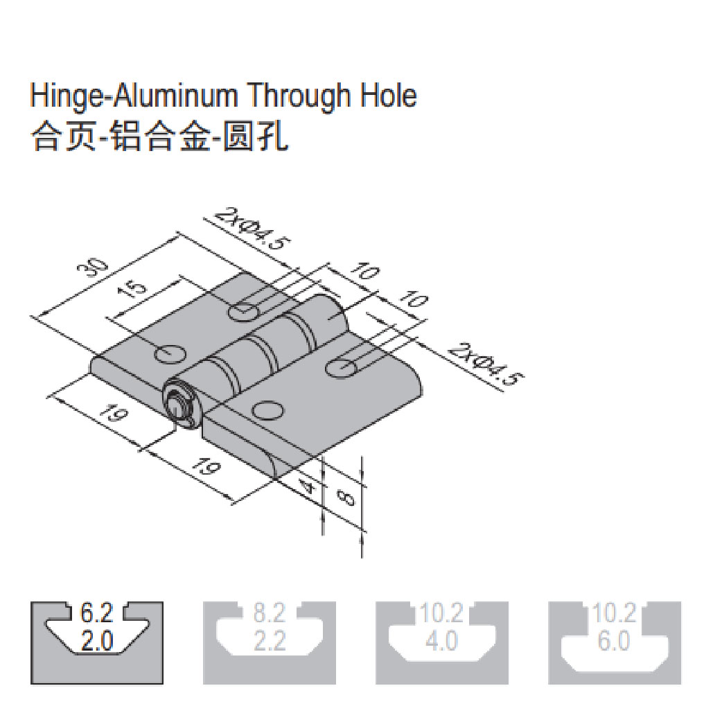Hinge PG20/20