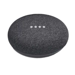 Google Mini Charcoal