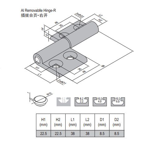 Removable Hinge PG45/45 Right