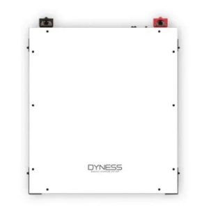 Dyness 4.8KWH Lithium Battery (A48100)