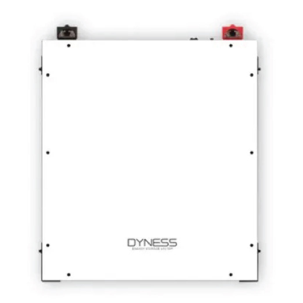 Dyness 4.8KWH Lithium Battery (A48100)