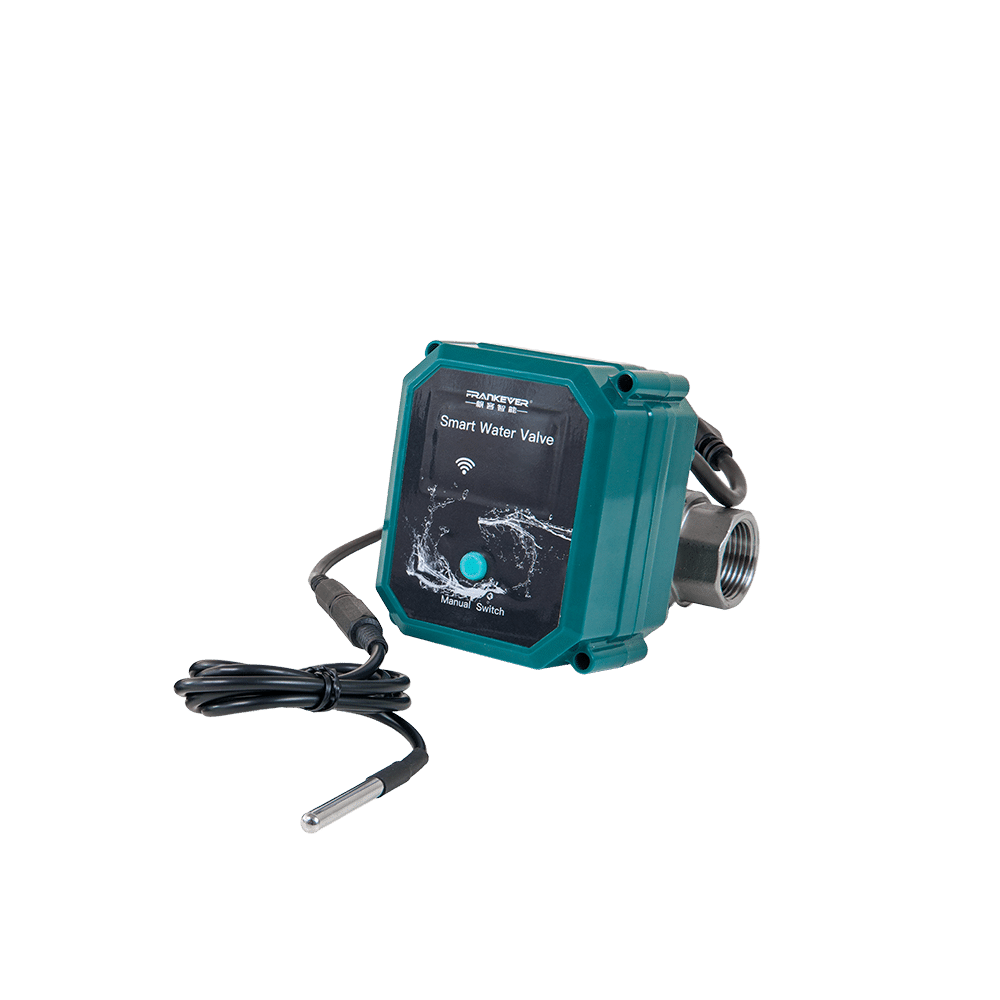 FRANKEVER SMART VALVE DN20